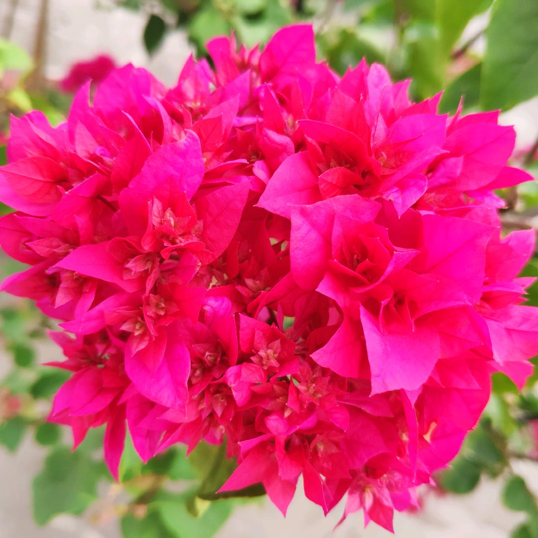 平淡是真🌷