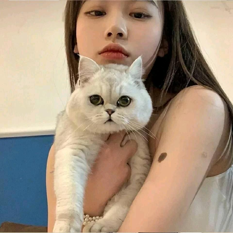 什么沂