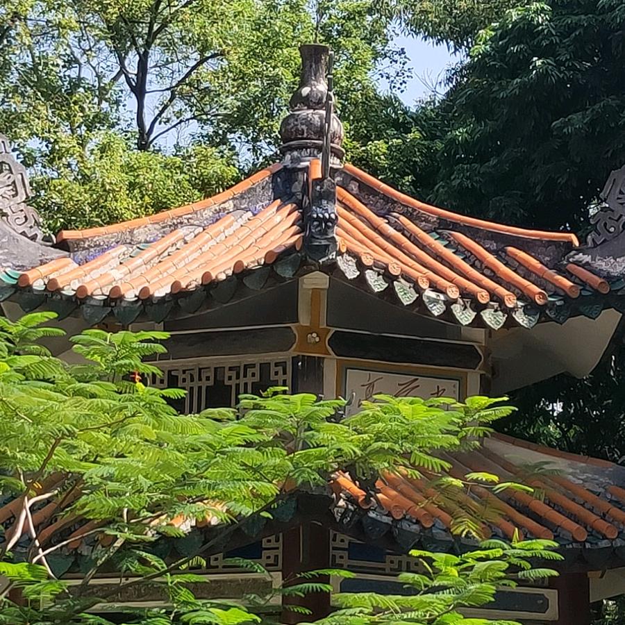 木半书