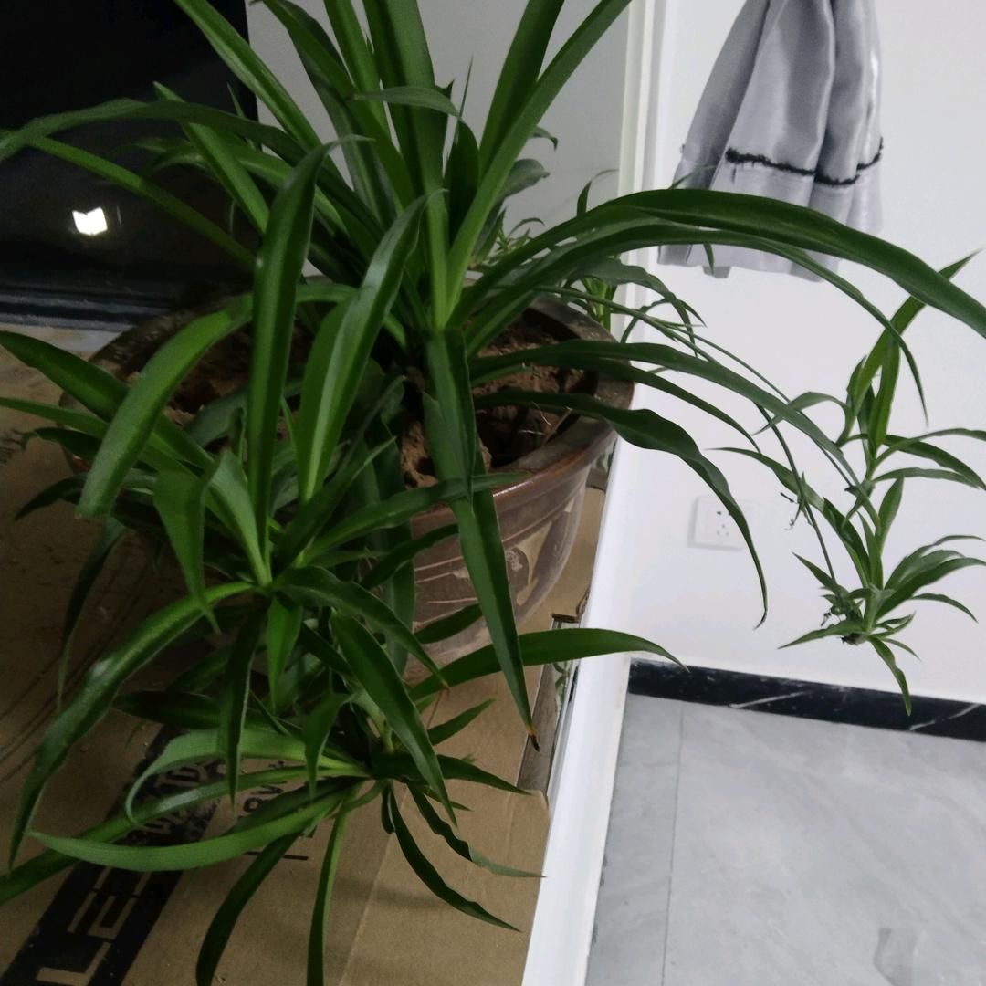 幸福永远