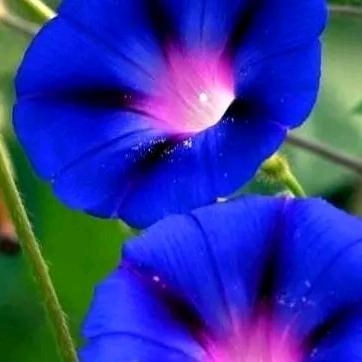 ☔️雨后的彩虹☔️