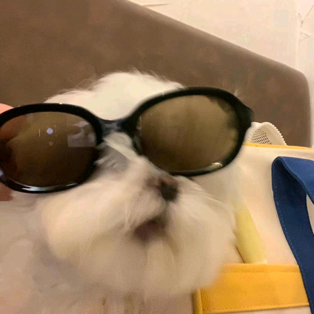 我爱西瓜