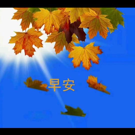 无敌霸王