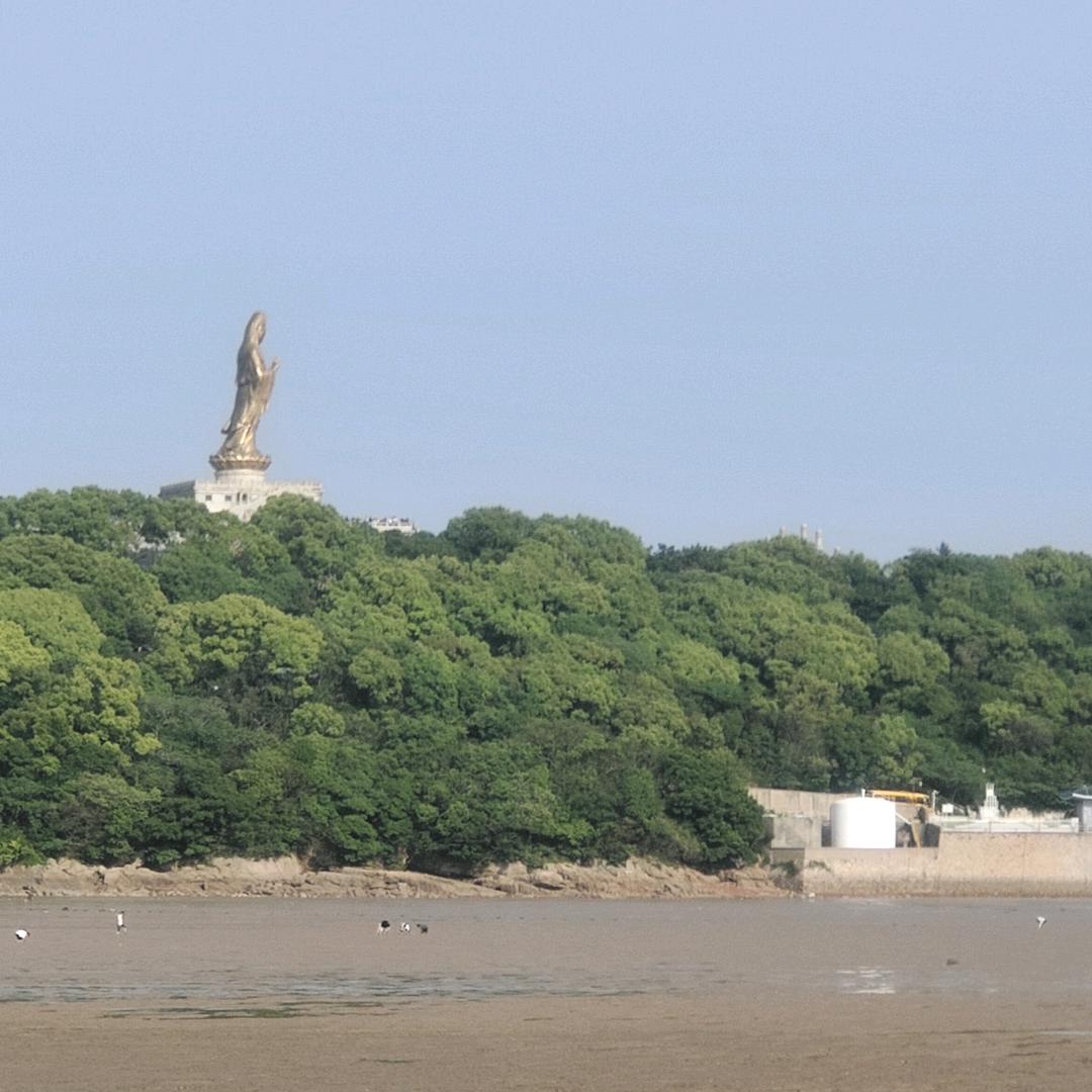 小柯_248170895