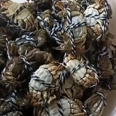 超级无敌大闸蟹