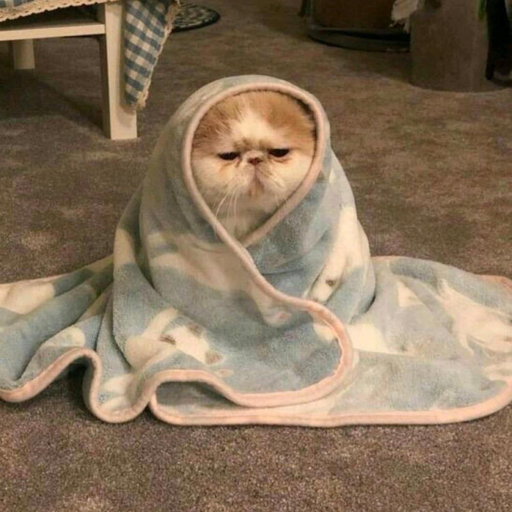 巧克力牛奶那么甜