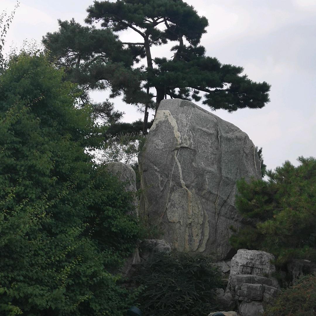 渴望