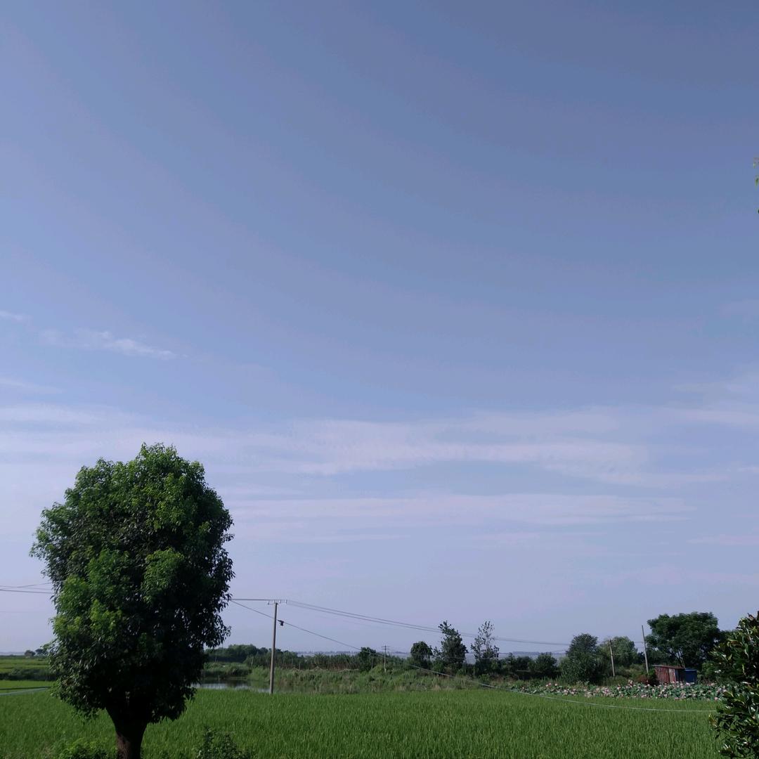 洪晨有缘