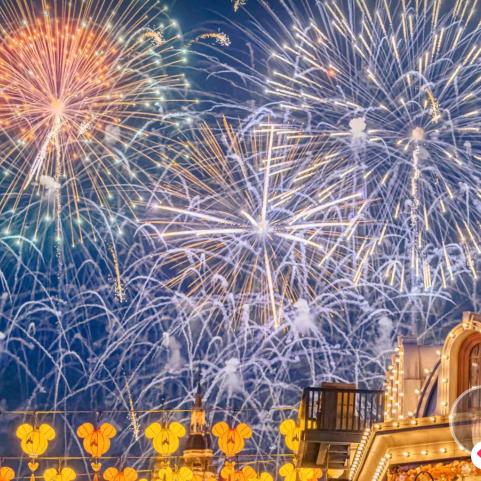 我是花生啊✨🌸