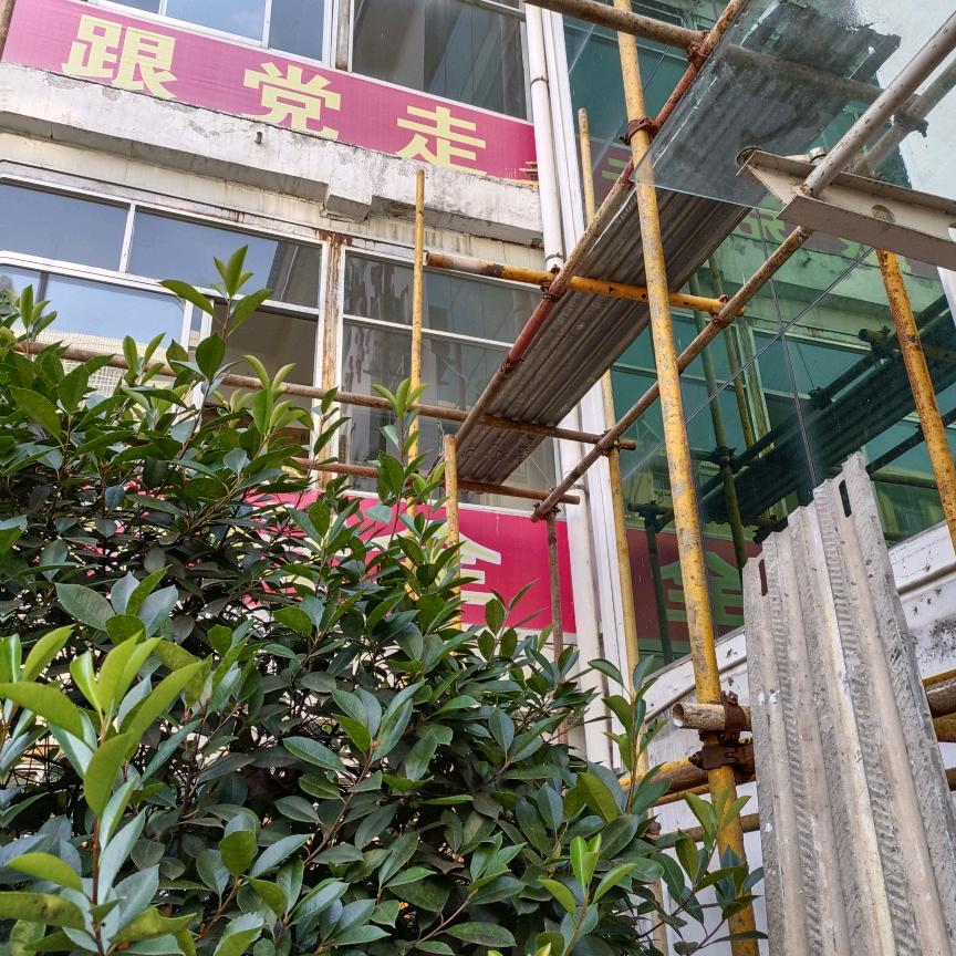 心想事成