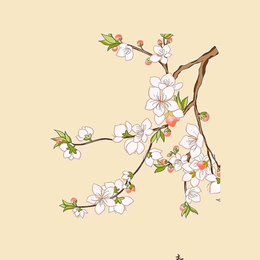 彩虹桥上也下雨