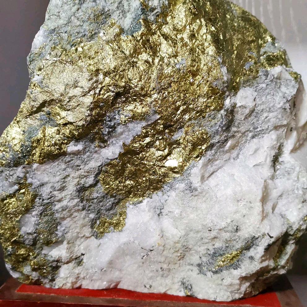 君哥带你闯天下