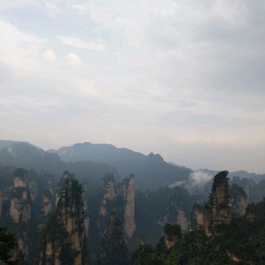 小花