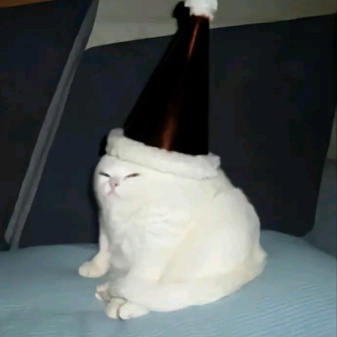 彩虹屁选手002号