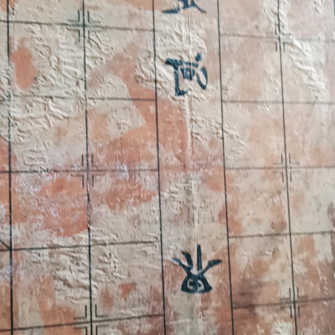 象棋大师