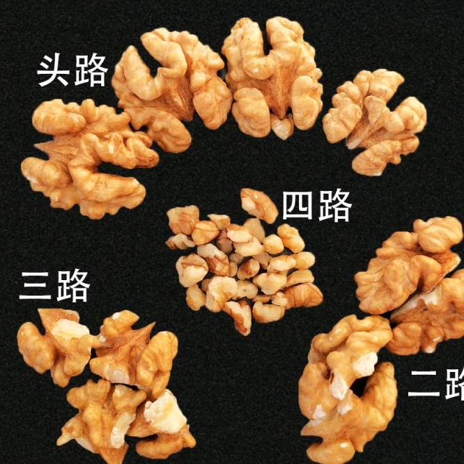 梁志【核桃仁】