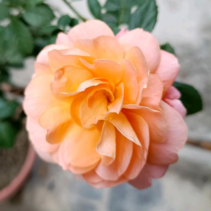 过客@