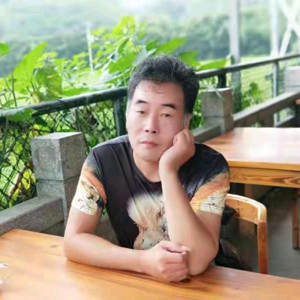 猫咪音乐