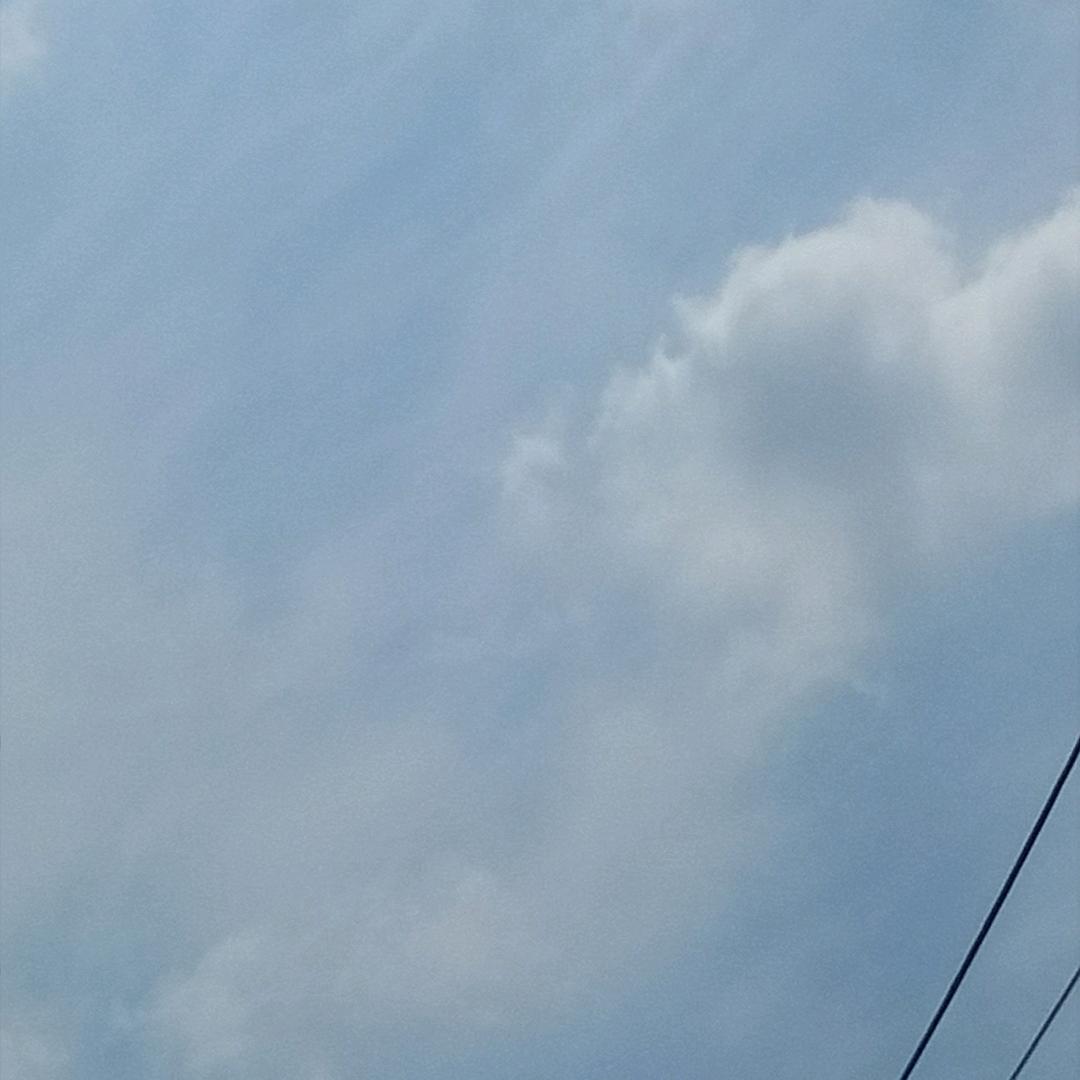 随心