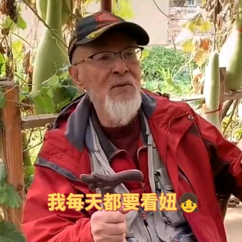 飞飞以飞飞