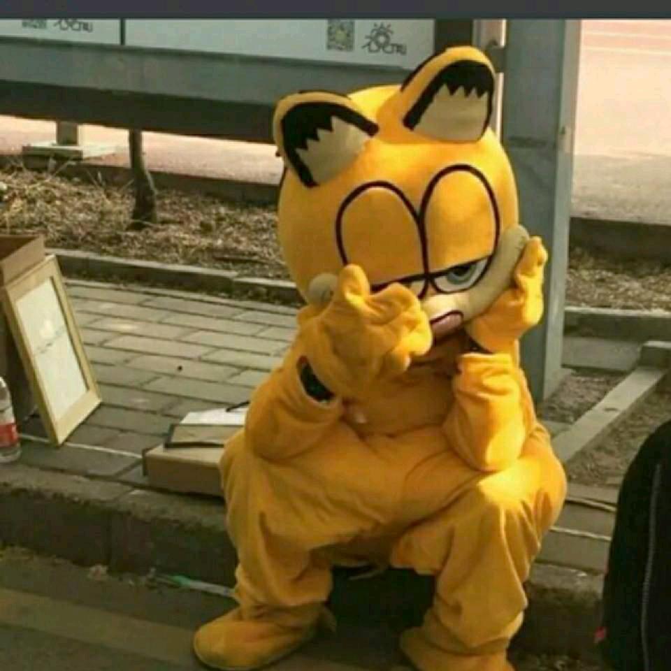 阿呆