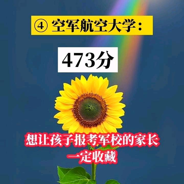 用户9810749319775二石兄