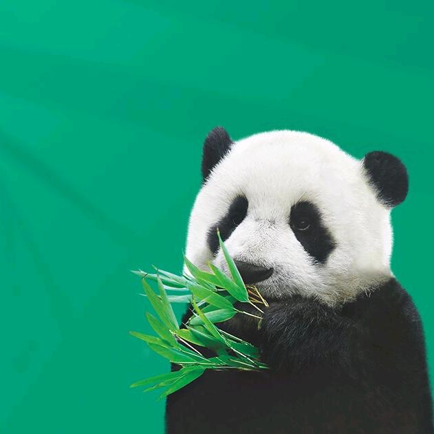 全友家居(营口恒大绿洲店)