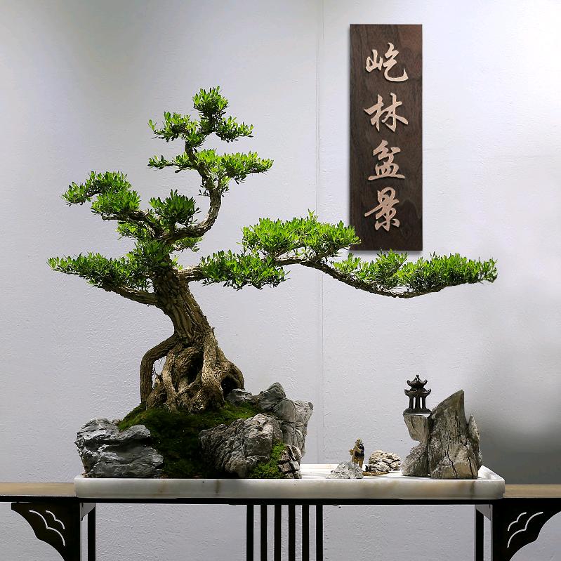 屹林盆景企业号