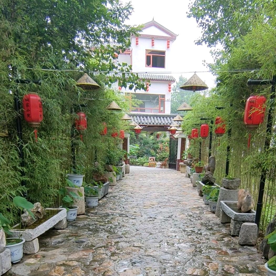 邓州市桐家小院