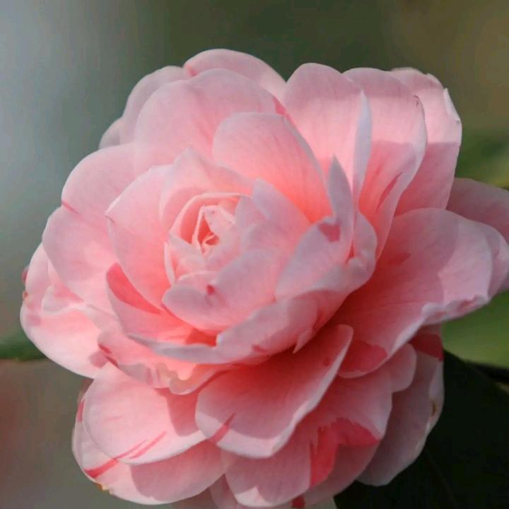 开开心心每一天