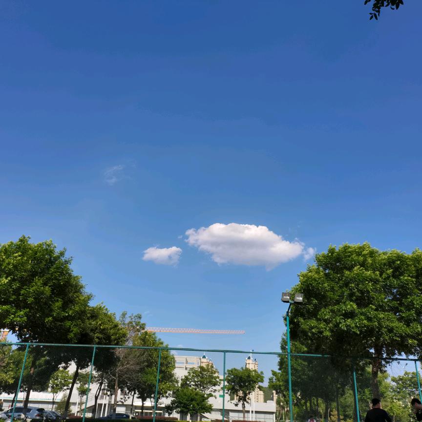 经十东大鹏哥（关必回）