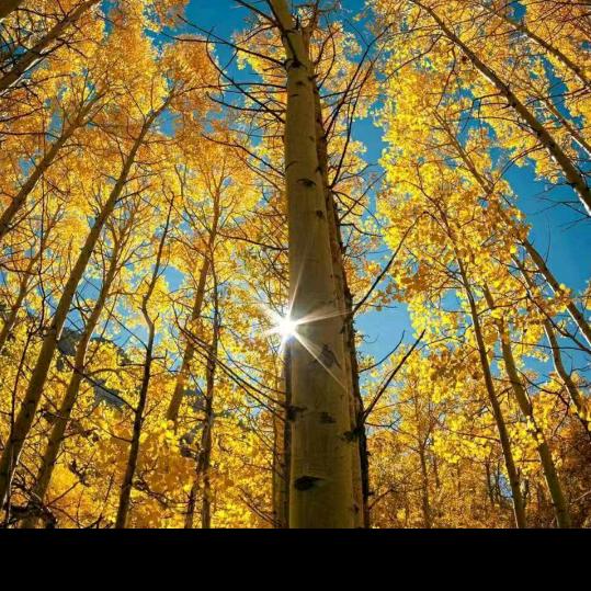 走自己的路：让别人去说吧