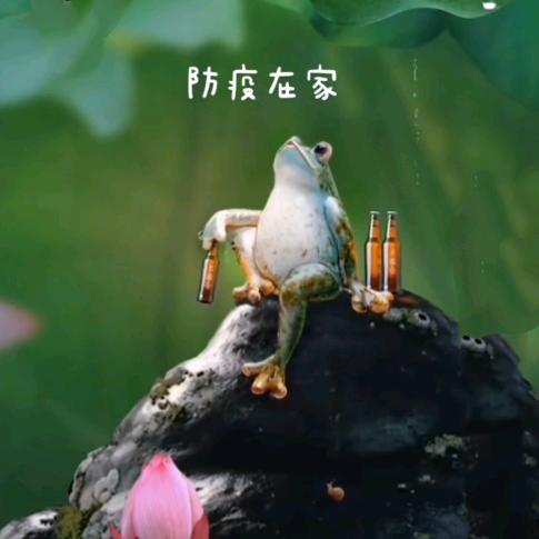 国斌🇨🇳