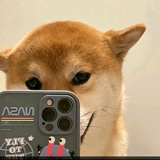 不思