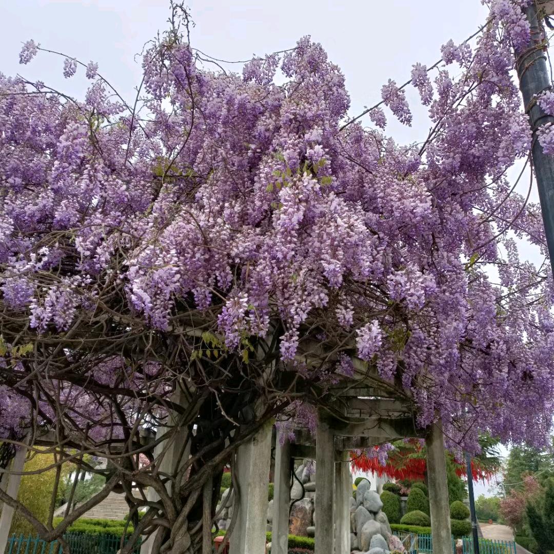 风雨过后见彩虹🌈