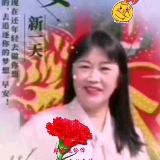 玫瑰手机摄影