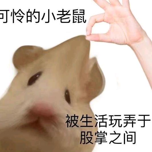 梦想是自然醒