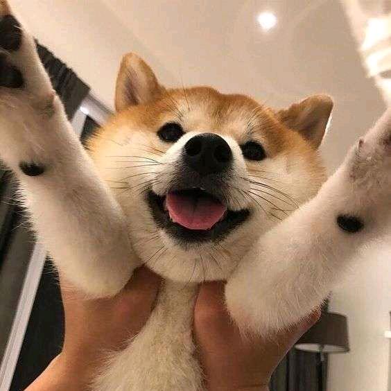 优乐湾子