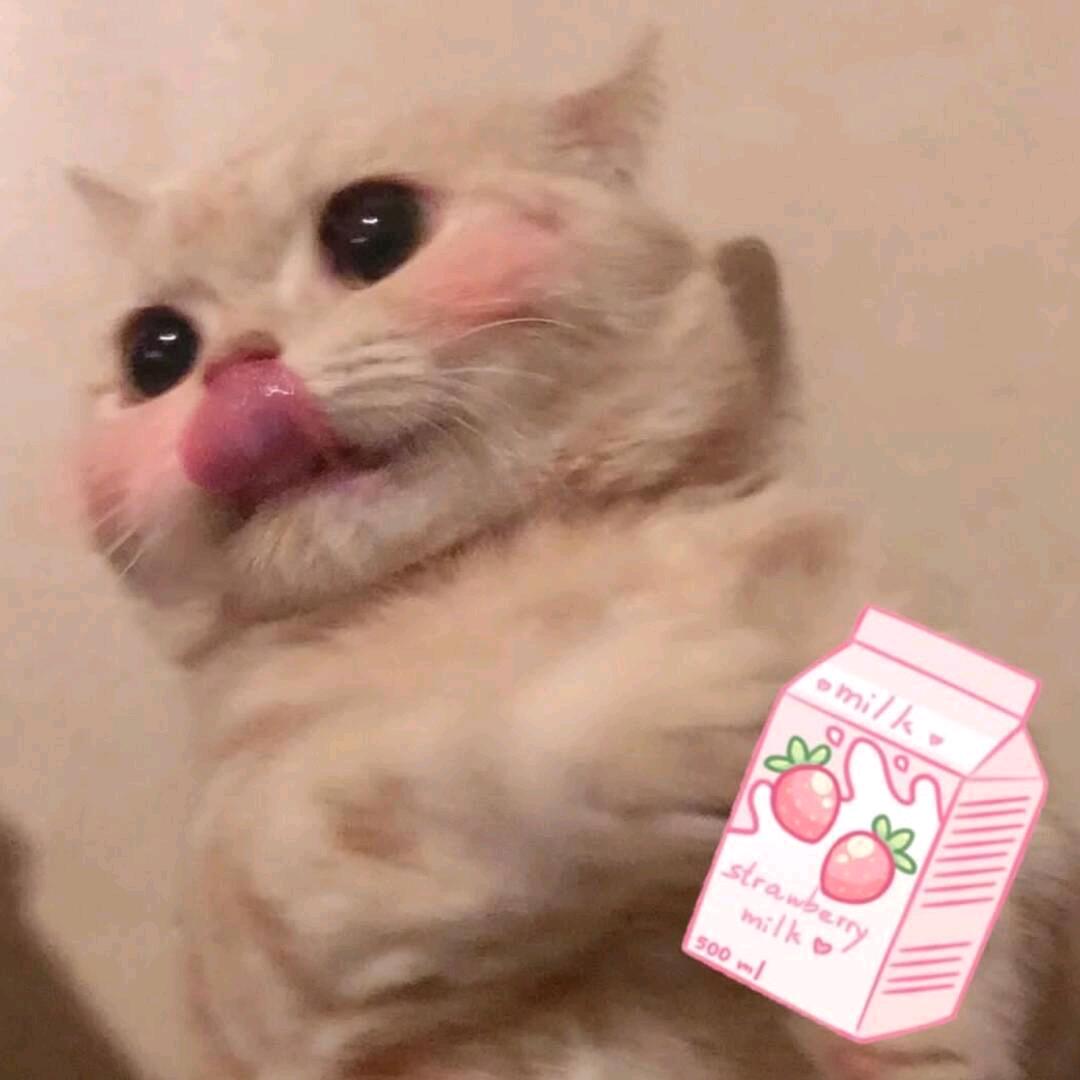 陌音樱