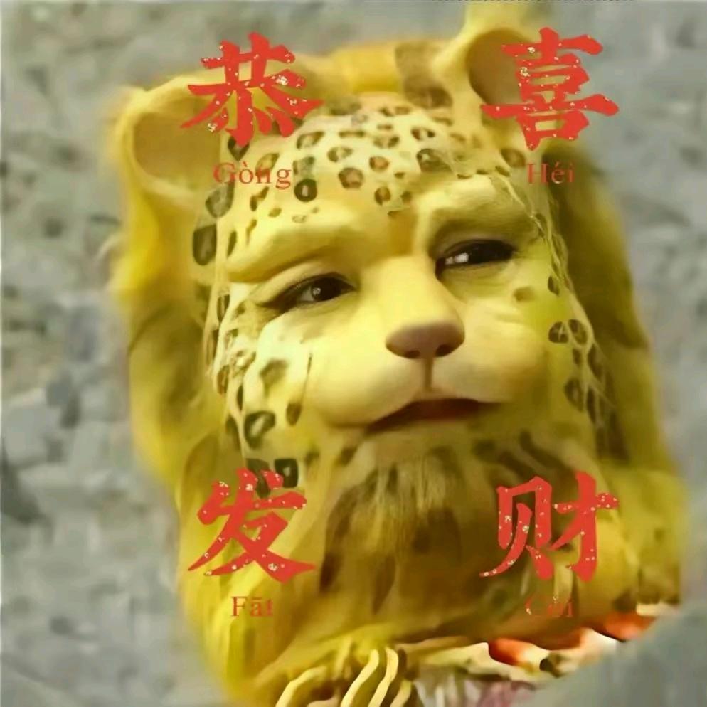 可心1998