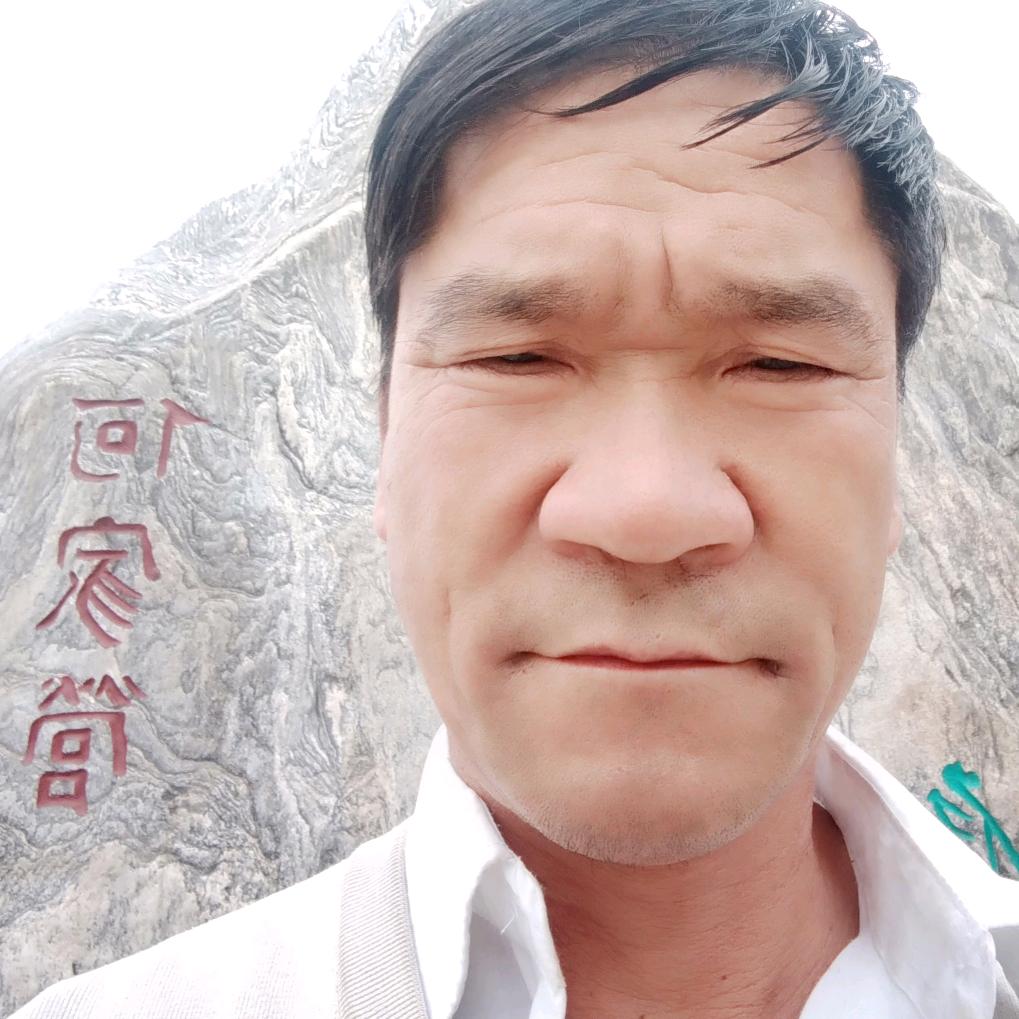 贾宝哥
