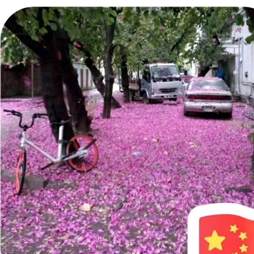 老增生态再生甲鱼常年零售，批发