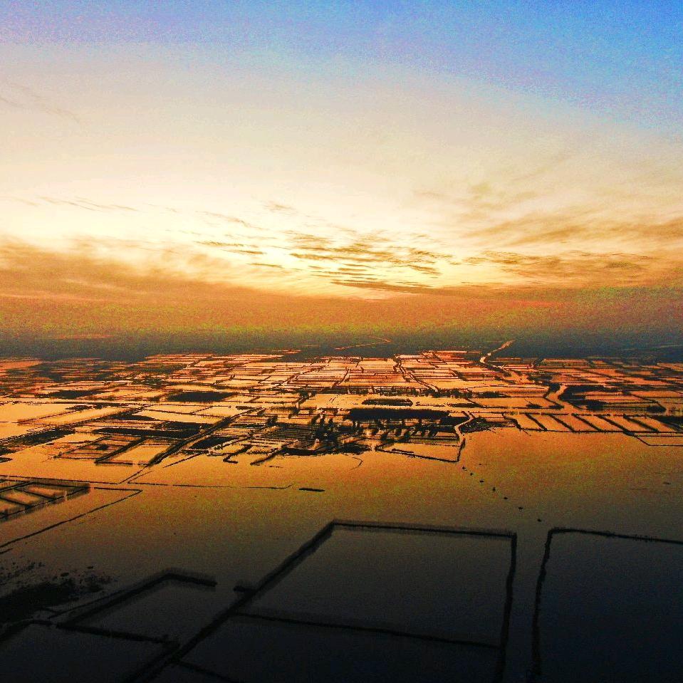 微山鲁桥小董（航拍济宁）