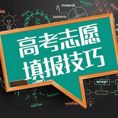 山东高考志愿填报刘成