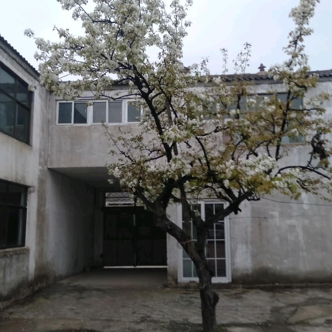 双井浴池