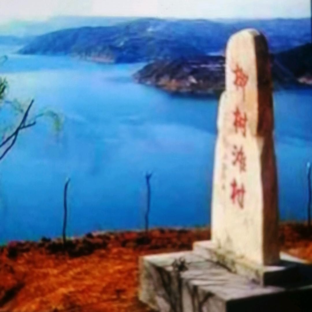 唯爱是从用户3504087974099
