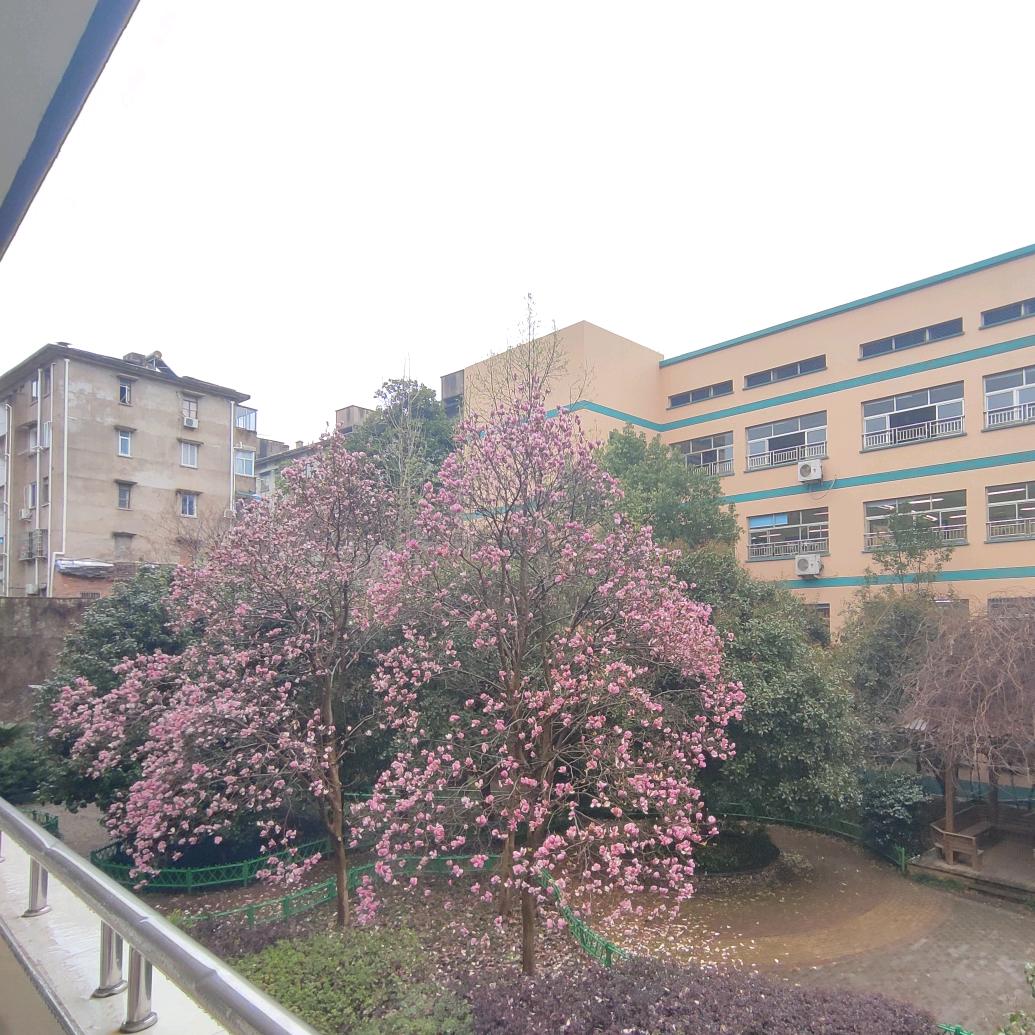 曾经的曾经