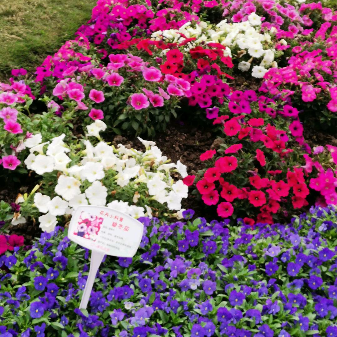 用户8225315336874君娜