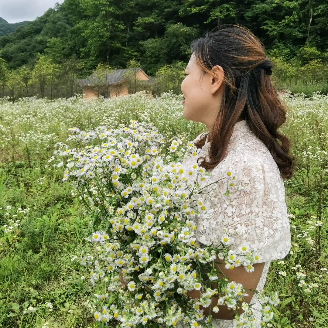 朱朱槐花糯米凉虾