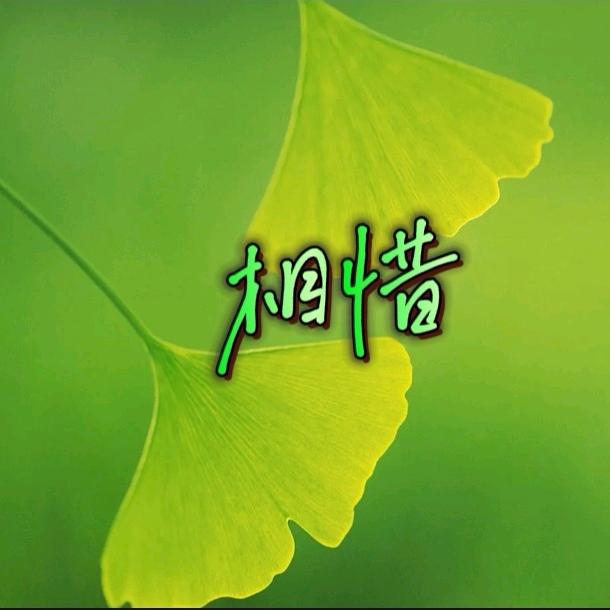相惜🍀